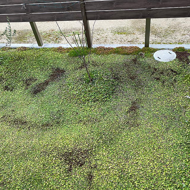 urotanさんの実例写真