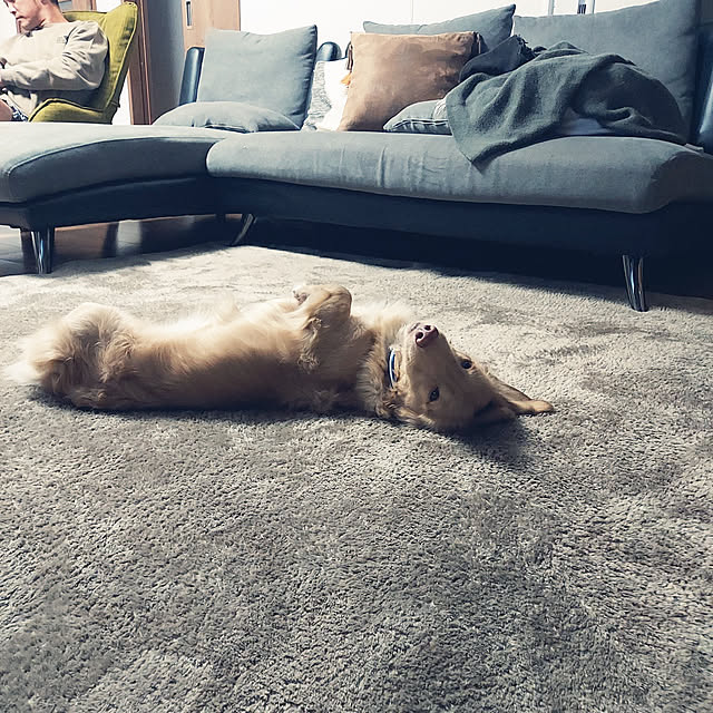 ciiiさんの実例写真