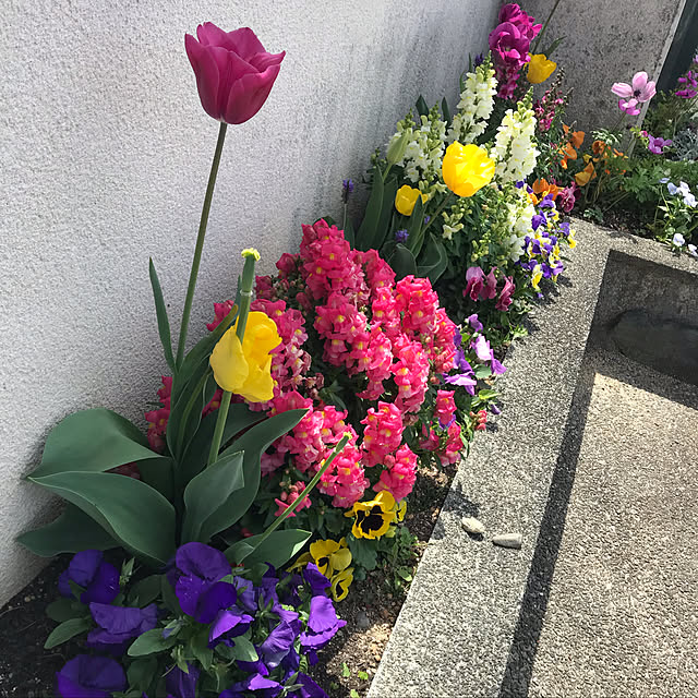 tommysobacさんの実例写真