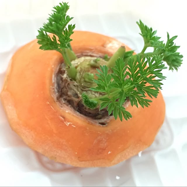 Ringo8chさんの実例写真