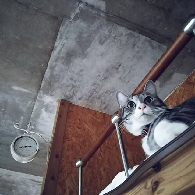 leinaさんの実例写真