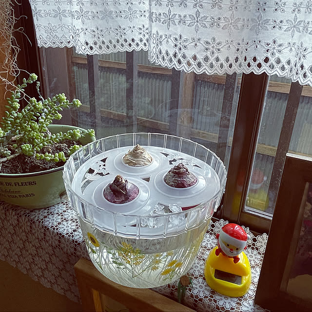 sugichanさんの実例写真