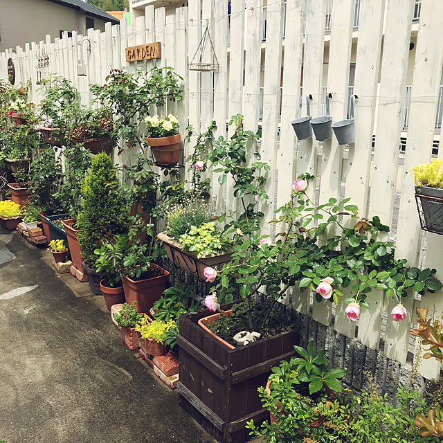 marorinさんの実例写真