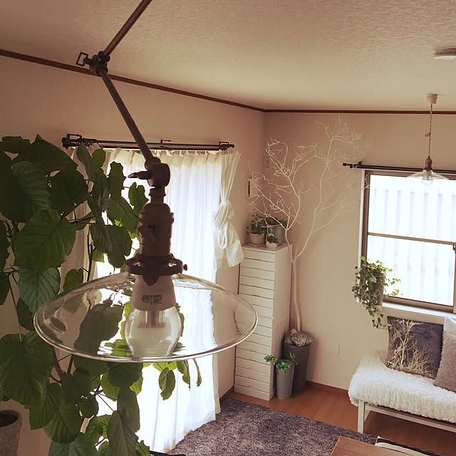 087さんの実例写真