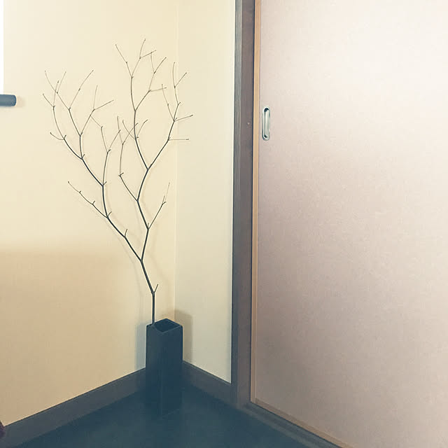 rinrinさんの実例写真