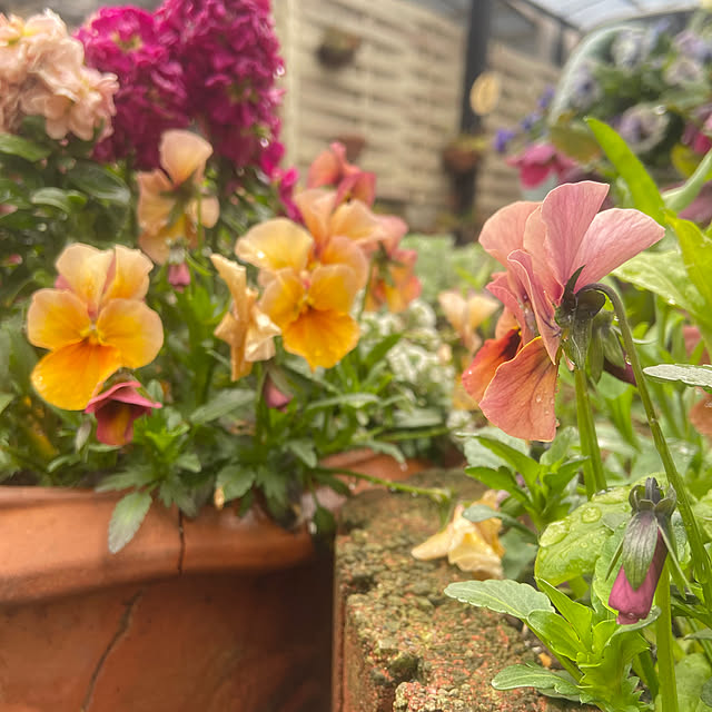 na-chanさんの部屋