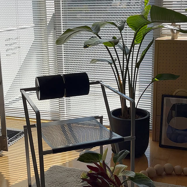 Kさんの部屋