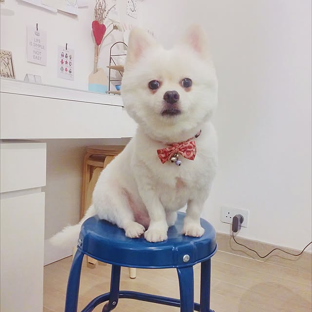 Belleさんの実例写真