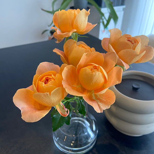 chiakiさんの部屋