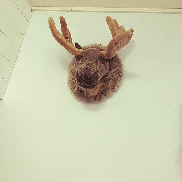 hawkeyさんの実例写真