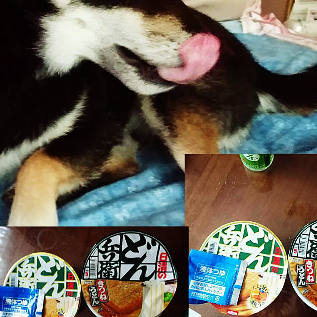 tsutawarimasuさんの実例写真