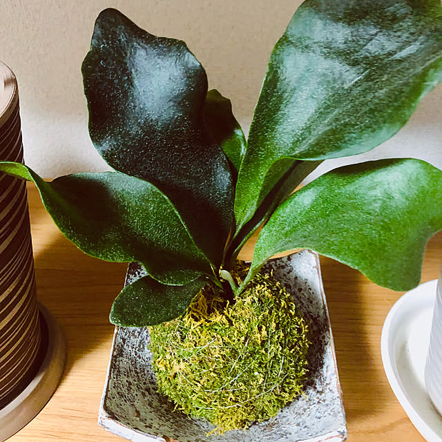 hanachanさんの部屋