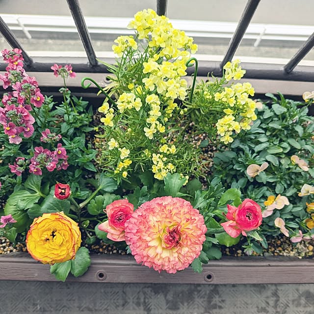 mi-saさんの部屋