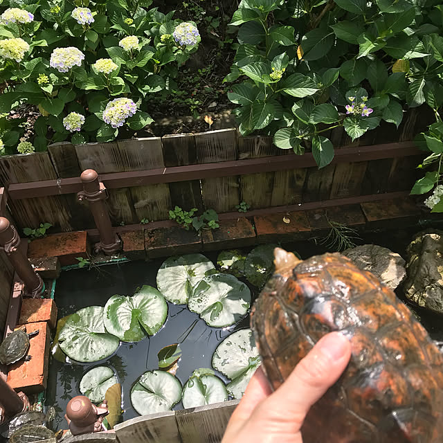 pepeさんの実例写真