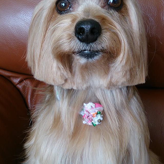 nkmapr.happyさんの実例写真