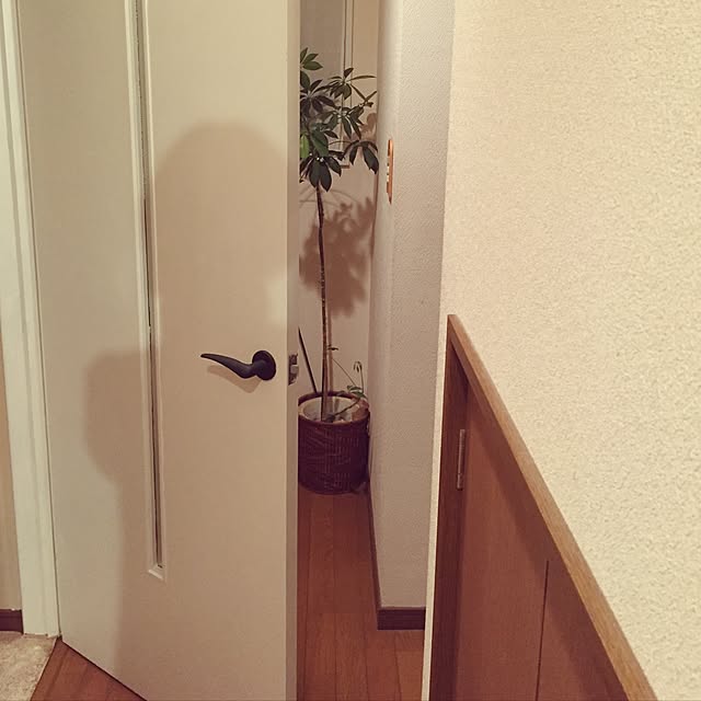 Rika.kさんの実例写真