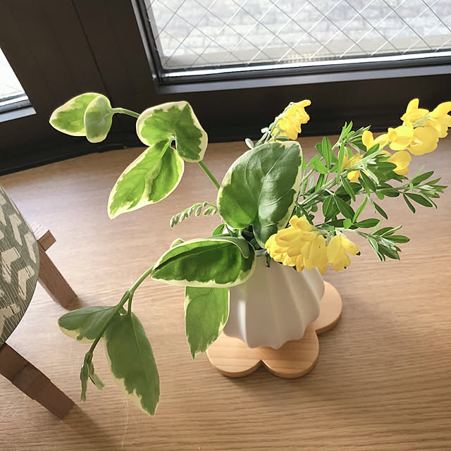 katoponさんの部屋