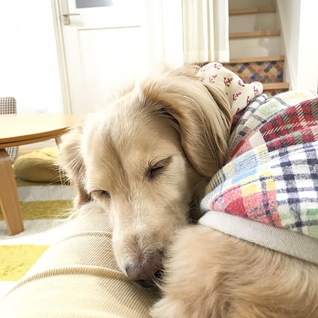 Erinさんの実例写真