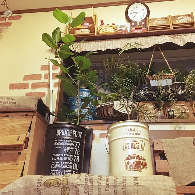 korokoroさんの実例写真