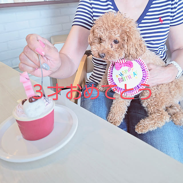 erisavesu4さんの実例写真