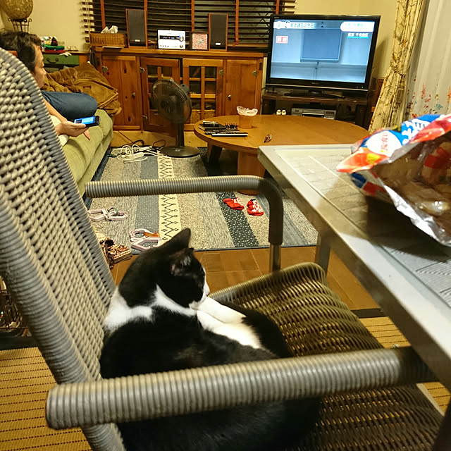 okyosan101さんの実例写真