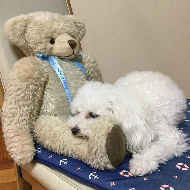 kakoさんの実例写真