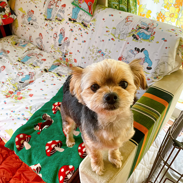 meさんの部屋