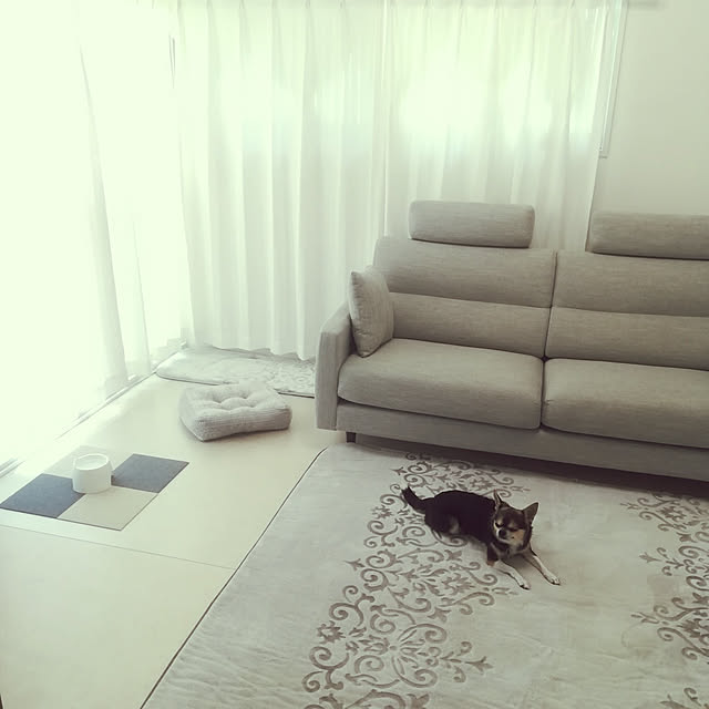 w+さんの実例写真