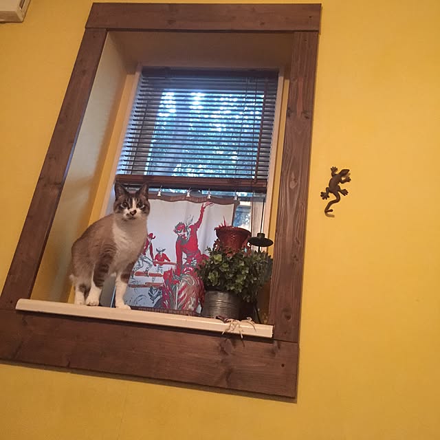 bowbowcoさんの実例写真