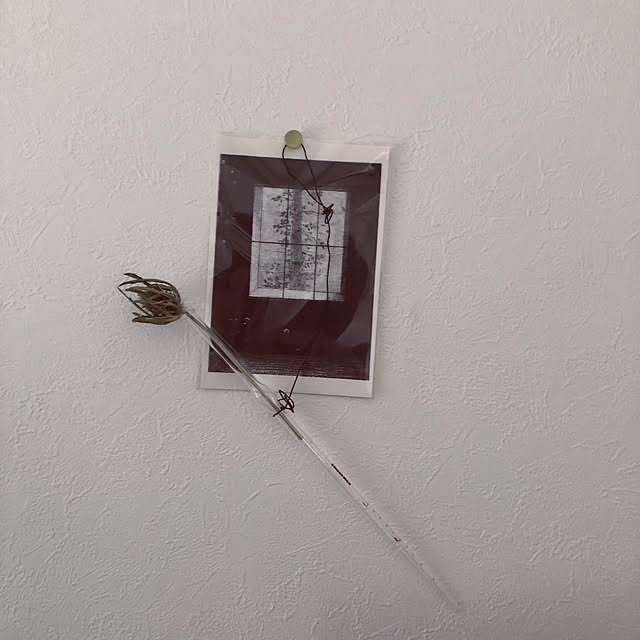 omiさんの実例写真