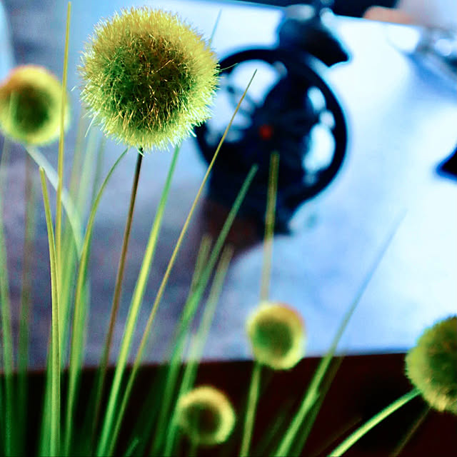 glassflowerさんの実例写真