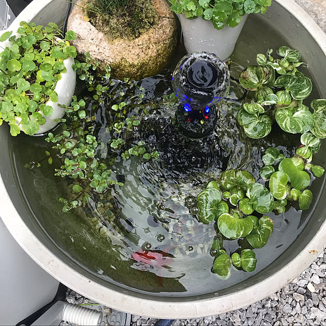 Mokoさんの実例写真