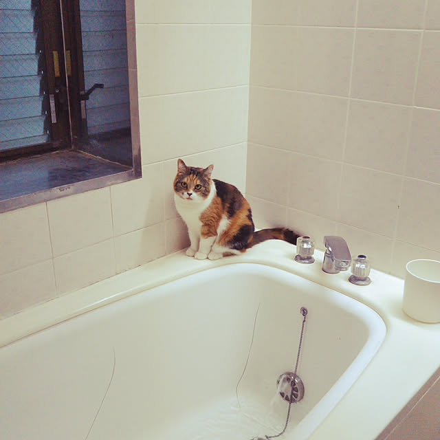 yukieさんの実例写真