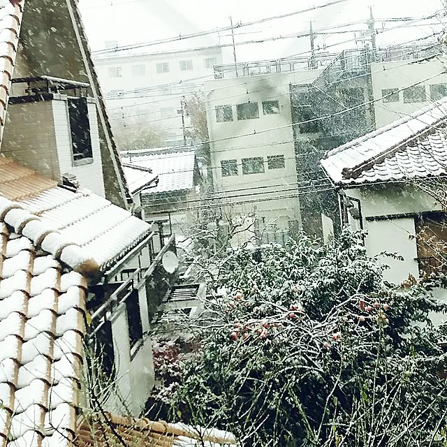 todorinkoさんの実例写真