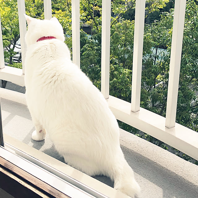ochappuさんの実例写真