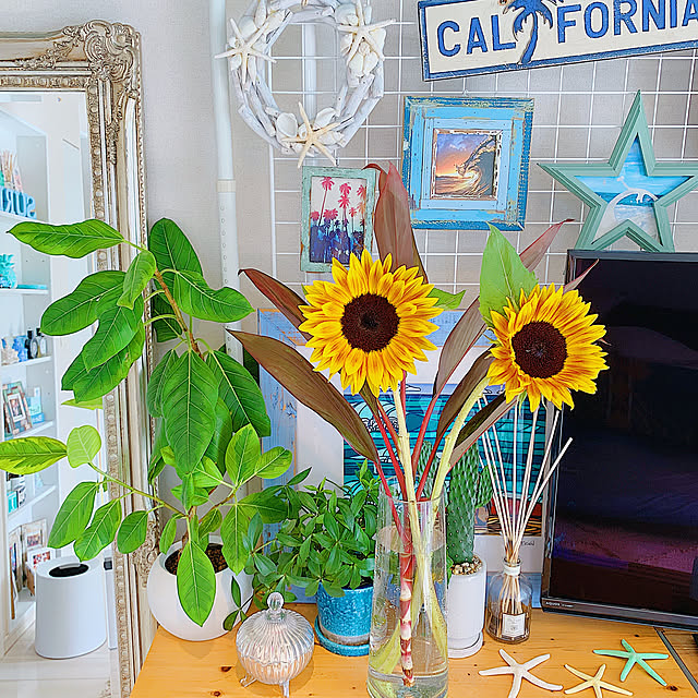 California0809さんの実例写真
