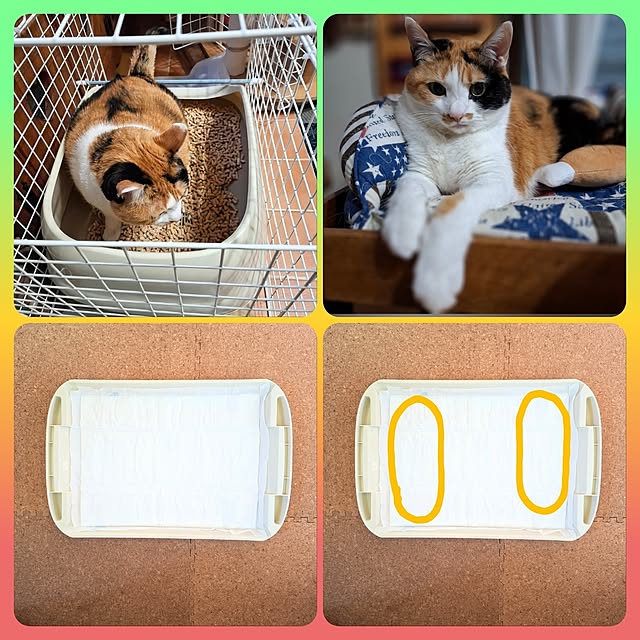 nanaさんの実例写真