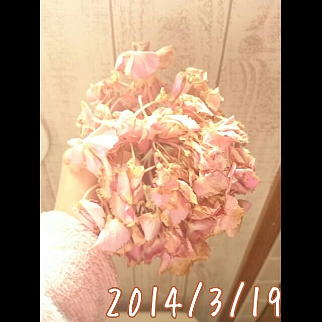kira127さんの実例写真