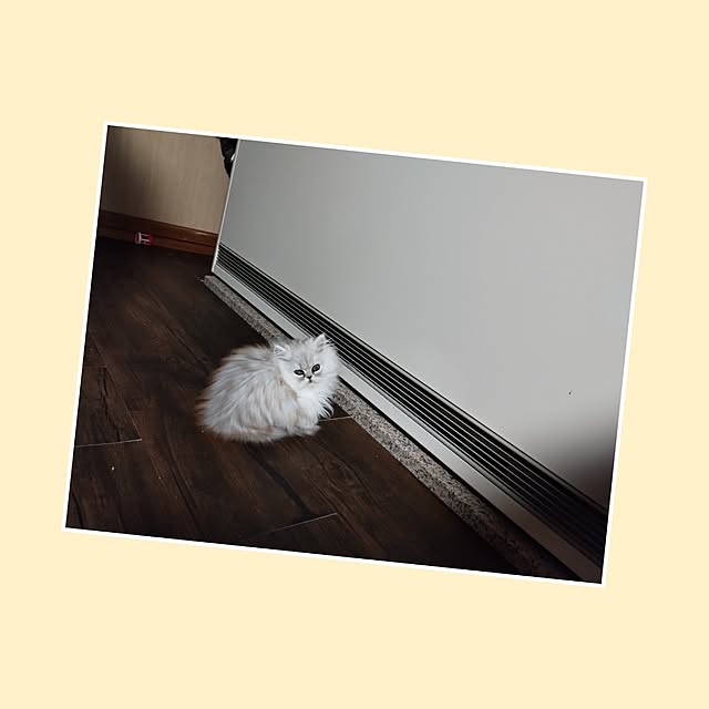 makaronさんの実例写真