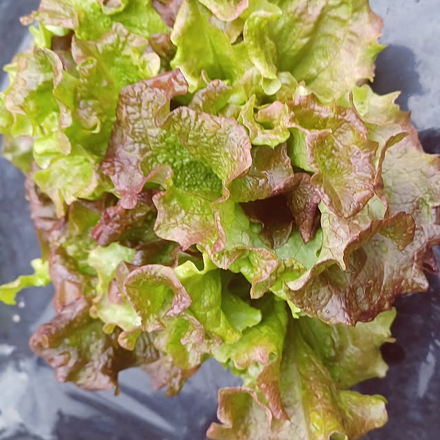 hiro.904さんの部屋