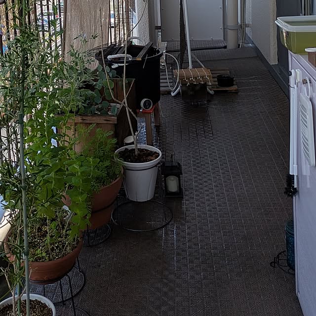 mi-saさんの部屋