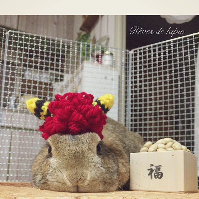 mashiさんの実例写真