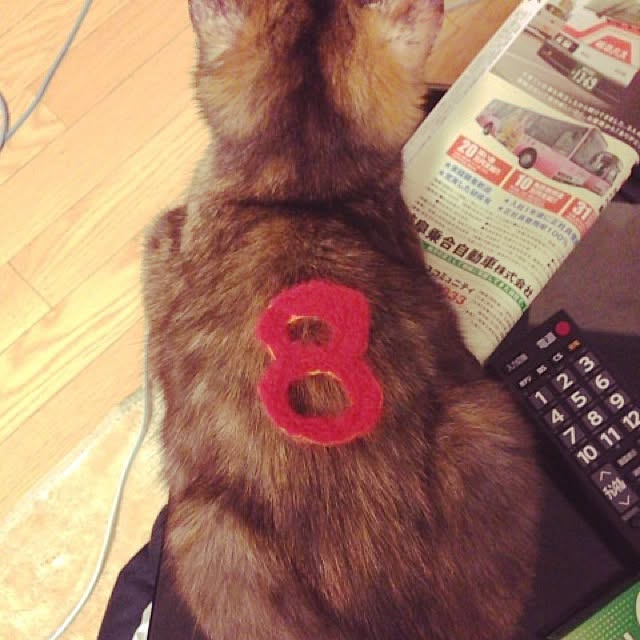 yufullfullさんの実例写真