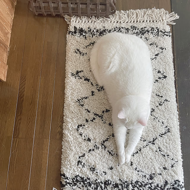 kotoriさんの部屋