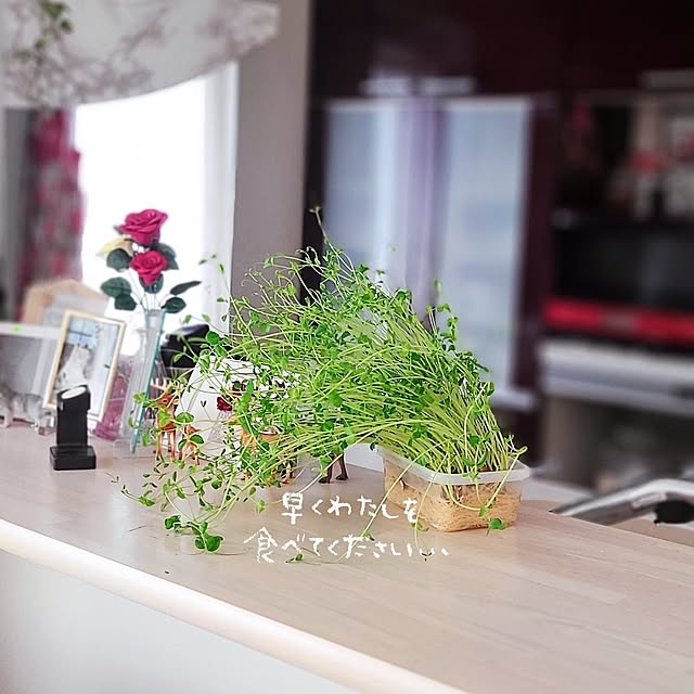 r0siereさんの実例写真