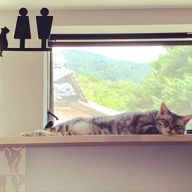 rayさんの実例写真