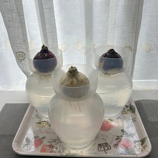 fumikoiさんの部屋