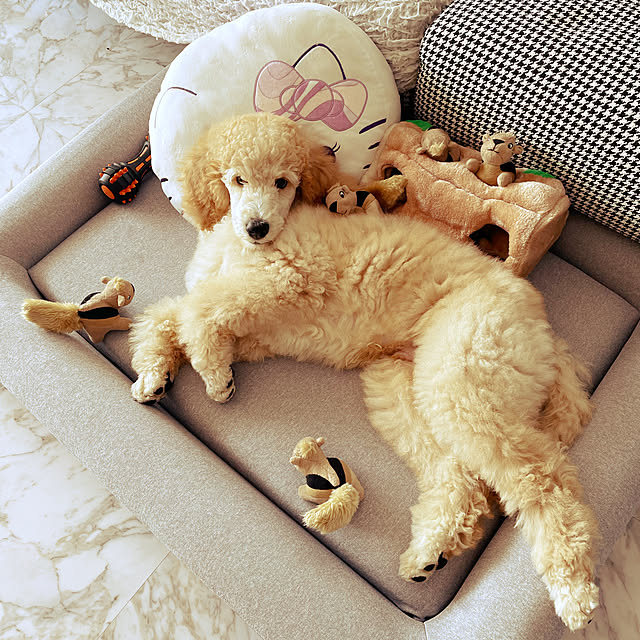 nackeyさんの実例写真