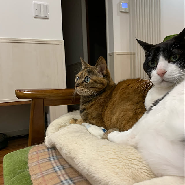 mikeume7さんの実例写真