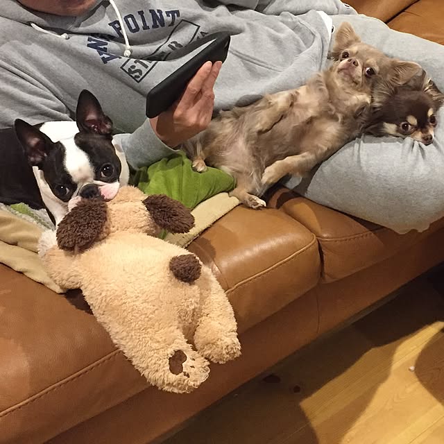 yumiさんの実例写真